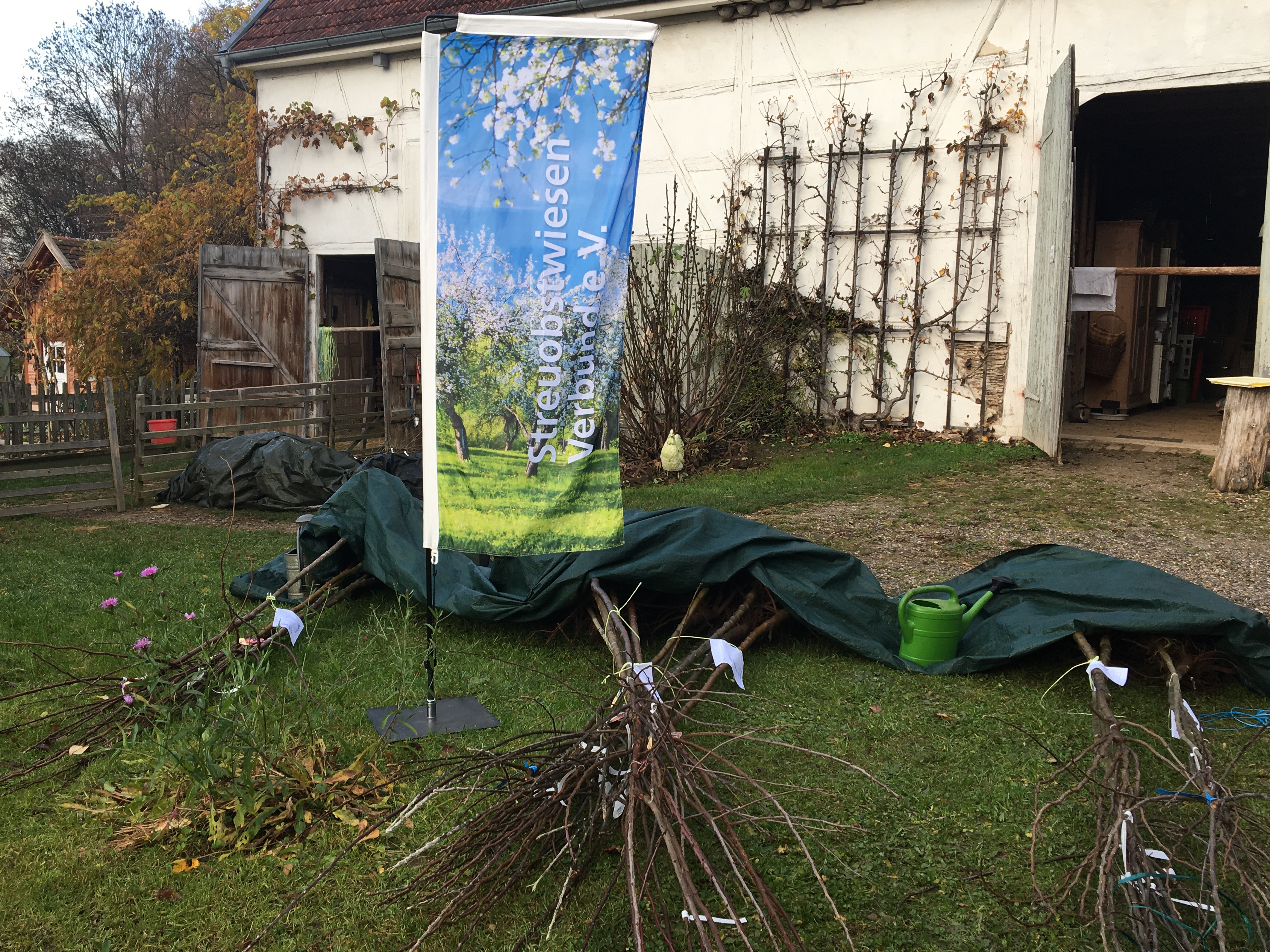 69 Obstbäume gepflanzt im November 2025